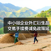 中小微企业外汇衍生品交易手续费减免政策延期两年(图4) 中小微企业外汇衍生品交易手续费减免政策延期两年(图4)