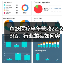 鱼跃医疗半年营收22.23亿,行业龙头如何突围?(图4) 鱼跃医疗半年营收22.23亿,行业龙头如何突围?(图4)