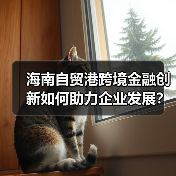 海南自贸港跨境金融创新如何助力企业发展?(图2) 海南自贸港跨境金融创新如何助力企业发展?(图2)