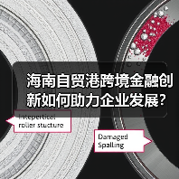 海南自贸港跨境金融创新如何助力企业发展?(图4) 海南自贸港跨境金融创新如何助力企业发展?(图4)