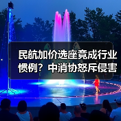 民航加价选座竟成行业惯例?中消协怒斥侵害消费者权益(图2) 民航加价选座竟成行业惯例?中消协怒斥侵害消费者权益(图2)
