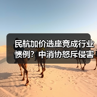 民航加价选座竟成行业惯例?中消协怒斥侵害消费者权益(图4) 民航加价选座竟成行业惯例?中消协怒斥侵害消费者权益(图4)