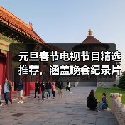 元旦春节电视节目精选推荐，涵盖晚会纪录片动画全类型