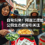 白鹭归来！阿蓬江湿地公园生态修复引关注
