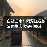 白鹭归来!阿蓬江湿地公园生态修复引关注(图4) 白鹭归来!阿蓬江湿地公园生态修复引关注(图4)