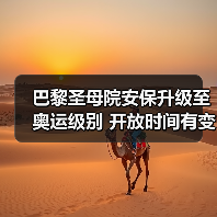 巴黎圣母院安保升级至奥运级别 开放时间有变?(图3) 巴黎圣母院安保升级至奥运级别 开放时间有变?(图3)