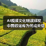AI视频文化错误频发,中国数据库为何成关键?(图4) AI视频文化错误频发,中国数据库为何成关键?(图4)