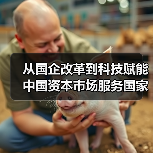 从国企改革到科技赋能 中国资本市场服务国家战略能力全面升级(图4) 从国企改革到科技赋能 中国资本市场服务国家战略能力全面升级(图4)