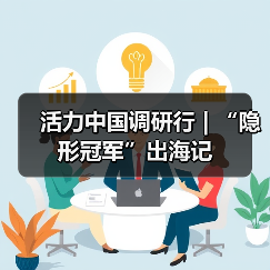活力中国调研行 | “隐形冠军”出海记(图2) 活力中国调研行 | “隐形冠军”出海记(图2)