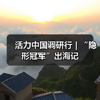 活力中国调研行 | “隐形冠军”出海记(图3) 活力中国调研行 | “隐形冠军”出海记(图3)