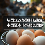 从国企改革到科技赋能 中国资本市场服务国家战略能力全面升级(图3) 从国企改革到科技赋能 中国资本市场服务国家战略能力全面升级(图3)