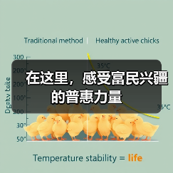 在这里,感受富民兴疆的普惠力量(图1) 在这里,感受富民兴疆的普惠力量(图1)