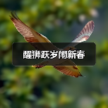 醒狮跃岁闹新春(图2) 醒狮跃岁闹新春(图2)