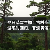 冬日踏雪寻梅！古村夜游限时回归，非遗民俗盛宴邀您共赴跨年之旅