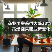 商业用房首付大降30%!市场迎来哪些新变化?(图3) 商业用房首付大降30%!市场迎来哪些新变化?(图3)