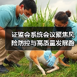 证监会系统会议聚焦风险防控与高质量发展路径(图2) 证监会系统会议聚焦风险防控与高质量发展路径(图2)