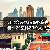 证监会表彰稽查办案先锋:25集体20个人捍卫市场公平(图1) 证监会表彰稽查办案先锋:25集体20个人捍卫市场公平(图1)