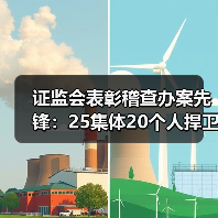 证监会表彰稽查办案先锋:25集体20个人捍卫市场公平(图3) 证监会表彰稽查办案先锋:25集体20个人捍卫市场公平(图3)