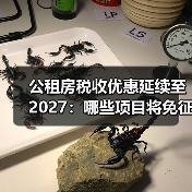 公租房税收优惠延续至2027：哪些项目将免征？