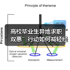 高校毕业生异地求职“双惠”行动如何减轻经济负担?(图2) 高校毕业生异地求职“双惠”行动如何减轻经济负担?(图2)