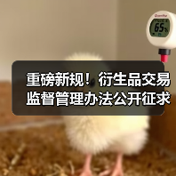 重磅新规!衍生品交易监督管理办法公开征求意见(图4) 重磅新规!衍生品交易监督管理办法公开征求意见(图4)