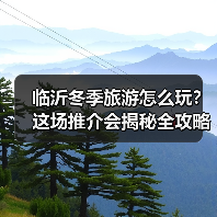 临沂冬季旅游怎么玩?这场推介会揭秘全攻略(图4) 临沂冬季旅游怎么玩?这场推介会揭秘全攻略(图4)