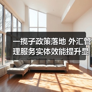 一揽子政策落地 外汇管理服务实体效能提升显著(图2) 一揽子政策落地 外汇管理服务实体效能提升显著(图2)