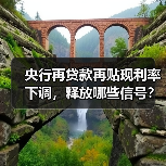 央行再贷款再贴现利率下调,释放哪些信号?(图4) 央行再贷款再贴现利率下调,释放哪些信号?(图4)