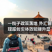一揽子政策落地 外汇管理服务实体效能提升显著(图4) 一揽子政策落地 外汇管理服务实体效能提升显著(图4)