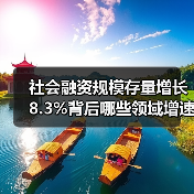社会融资规模存量增长8.3%背后哪些领域增速突出?(图2) 社会融资规模存量增长8.3%背后哪些领域增速突出?(图2)