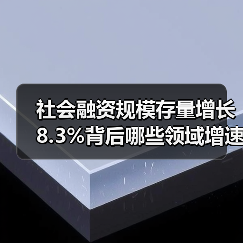社会融资规模存量增长8.3%背后哪些领域增速突出?(图3) 社会融资规模存量增长8.3%背后哪些领域增速突出?(图3)