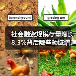 社会融资规模存量增长8.3%背后哪些领域增速突出?(图4) 社会融资规模存量增长8.3%背后哪些领域增速突出?(图4)