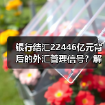 银行结汇22446亿元背后的外汇管理信号?解读关键数据(图2) 银行结汇22446亿元背后的外汇管理信号?解读关键数据(图2)