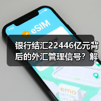 银行结汇22446亿元背后的外汇管理信号?解读关键数据(图3) 银行结汇22446亿元背后的外汇管理信号?解读关键数据(图3)
