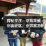 探秘辛庄:草莓采摘+创客街区,京郊旅游新玩法(图2) 探秘辛庄:草莓采摘+创客街区,京郊旅游新玩法(图2)