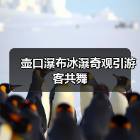 壶口瀑布冰瀑奇观引游客共舞
