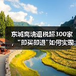 东城离境退税超300家, 东城离境退税超300家,