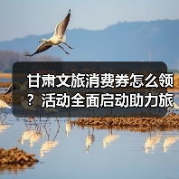 甘肃文旅消费券怎么领?活动全面启动助力旅游(图4) 甘肃文旅消费券怎么领?活动全面启动助力旅游(图4)