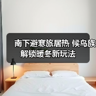 南下避寒旅居热 候鸟族解锁暖冬新玩法