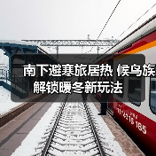 南下避寒旅居热 候鸟族解锁暖冬新玩法(图4) 南下避寒旅居热 候鸟族解锁暖冬新玩法(图4)