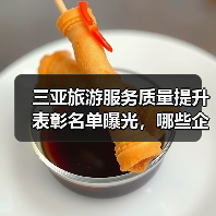 三亚旅游服务质量提升表彰名单曝光,哪些企业上榜?(图3) 三亚旅游服务质量提升表彰名单曝光,哪些企业上榜?(图3)