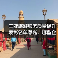 三亚旅游服务质量提升表彰名单曝光,哪些企业上榜?(图4) 三亚旅游服务质量提升表彰名单曝光,哪些企业上榜?(图4)
