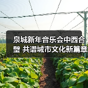 泉城新年音乐会中西合璧 共谱城市文化新篇章(图3) 泉城新年音乐会中西合璧 共谱城市文化新篇章(图3)