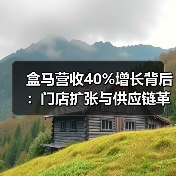 盒马营收40%增长背后:门店扩张与供应链革新如何驱动行业新趋势?(图3) 盒马营收40%增长背后:门店扩张与供应链革新如何驱动行业新趋势?(图3)