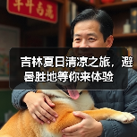 吉林夏日清凉之旅,避暑胜地等你来体验(图3) 吉林夏日清凉之旅,避暑胜地等你来体验(图3)