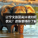 辽宁文旅营商环境如何优化?这些举措你了解吗?(图4) 辽宁文旅营商环境如何优化?这些举措你了解吗?(图4)