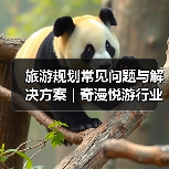 旅游规划常见问题与解决方案 | 奇漫悦游行业知识2025(图4) 旅游规划常见问题与解决方案 | 奇漫悦游行业知识2025(图4)